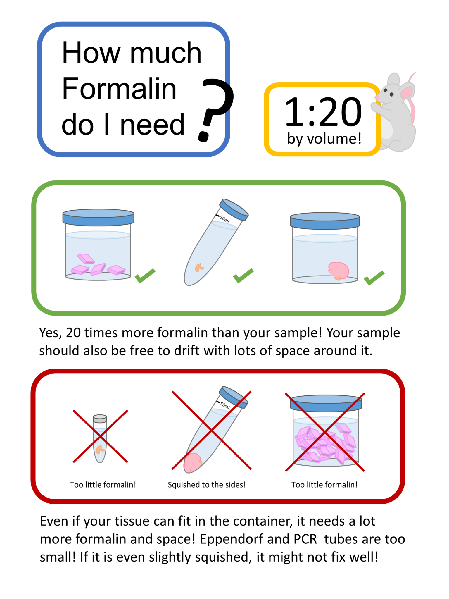 General Histology Guidelines Histology and Imaging Core (HIC)